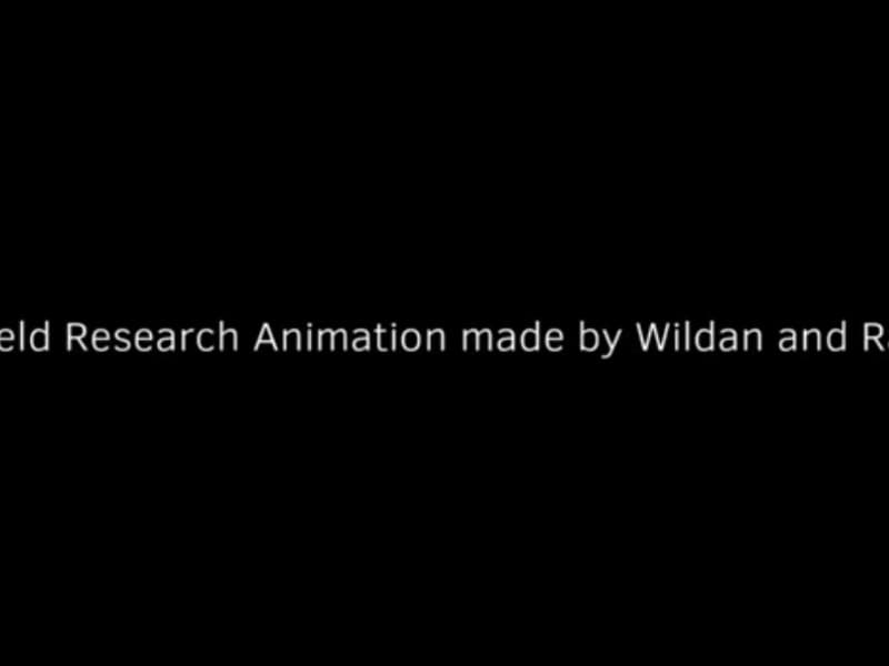 FR Animation Bali G7